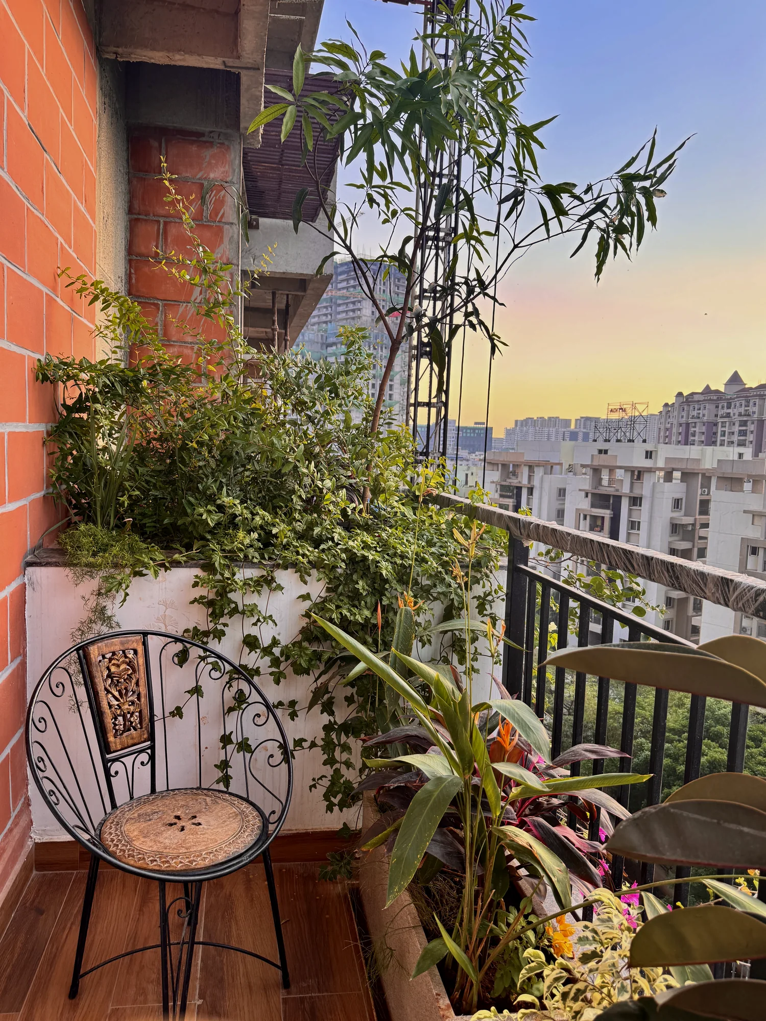 Tall leafy plants arranged along a residential balcony railing in an urban Hyderabad setting
