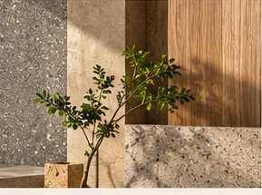 Warm natural materials and planting used in a contemporary interior